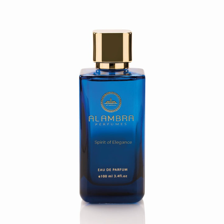 Men's perfume SPIRIT OF ELEGANCE EDP 100 ML