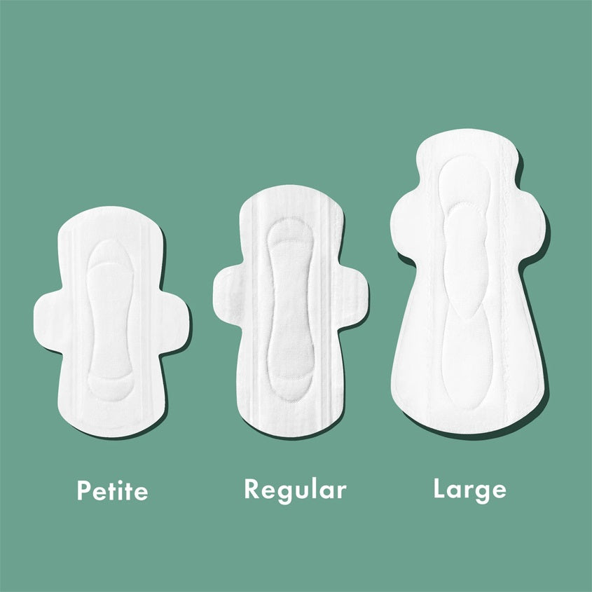 RAEL ORGANIC COTTON PADS- LARGE- 12S – free delivery