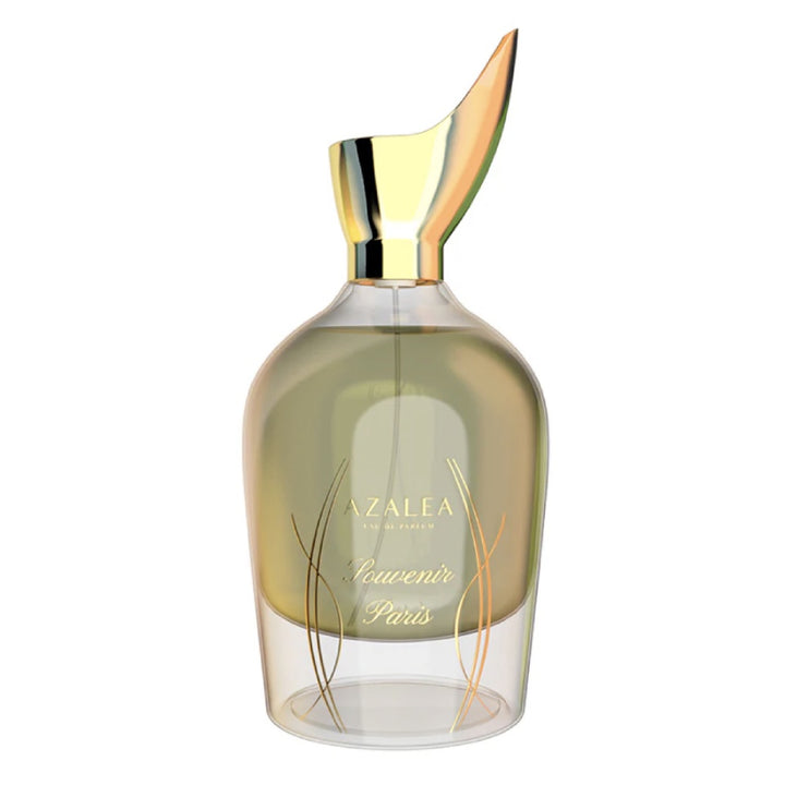 AZALEA Souvenir Paris