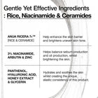 ANUA 7 RICE CERAMIDE HYDRATING BARRIER SERUM 50ML – photo 6