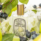 ATELIER FAYE PERFUME QUINCE & BLACK CURRANT 30ML – شراء أونلاين