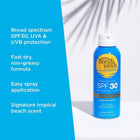 MIST SPRAY SPF 30160G