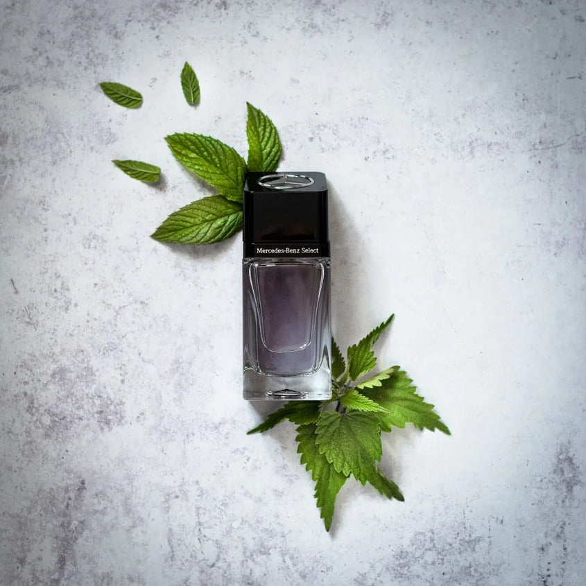 MERCEDES BENZ SELECT DAY EDT 50ML – buy online