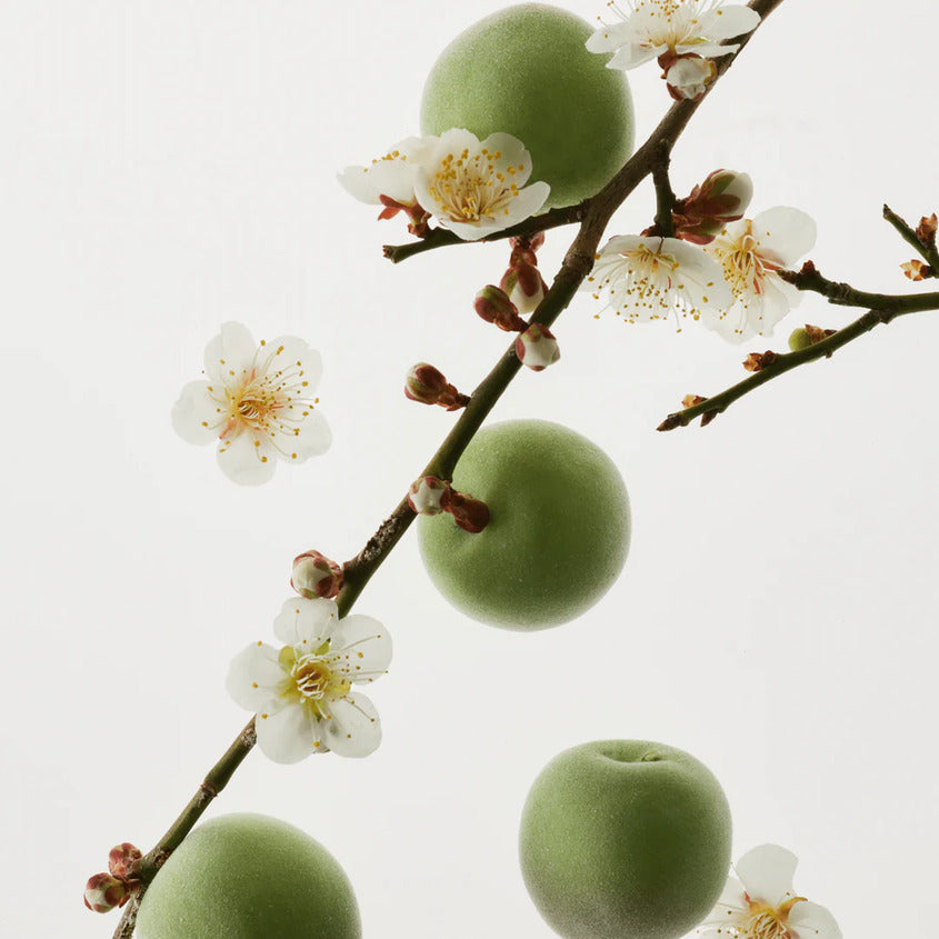 Green Plum Refreshing Toner : AHA + BHA