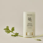 Matte Sun Stick : Mugwort + Camelia SPF 50+ PA++++
