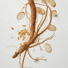 Revive Eye Serum : Ginseng + Retinal