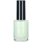 BOLVER NAIL POLISH 22-667 11ML – buy online