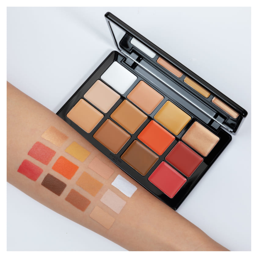 Face Palette All In One