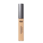 Chroma Conceal Liquid Concealer