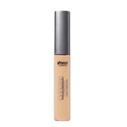 Chroma Conceal Liquid Concealer