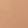 54N Beige
