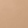 52,2W golden Beige