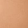 54 Sun Bronze