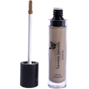 Fits All Concealer