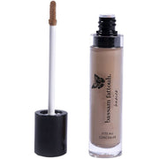 Fits All Concealer