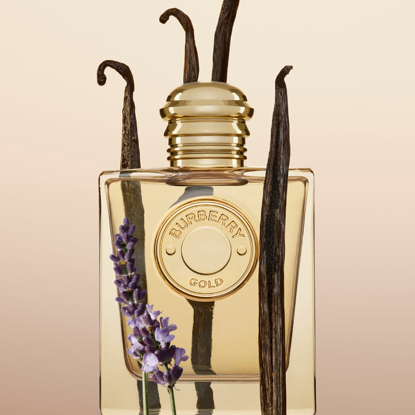 BURBERRY GOLD EDP 100 ML – free delivery
