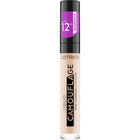 Liquid Camouflage High Coverage Concealer