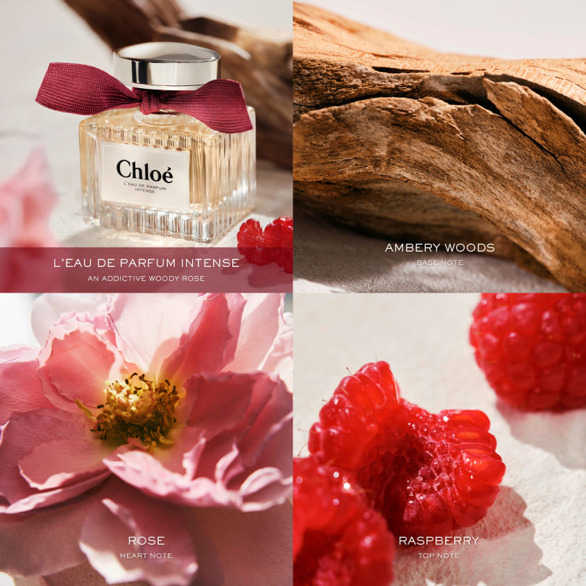 CHLOE LEAU DE PARFUM INTENSE EDP 100 ML REFIL – buy online