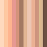 01 Coral Studio