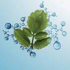 Hydra-Essentiel [HA²] Emulsion