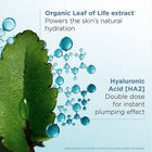 CLARINS HYDRA MASK RETAIL 75ML – free delivery
