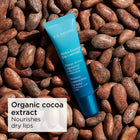 CLARINS LIP BALM RETAIL 15ML – صورة 6