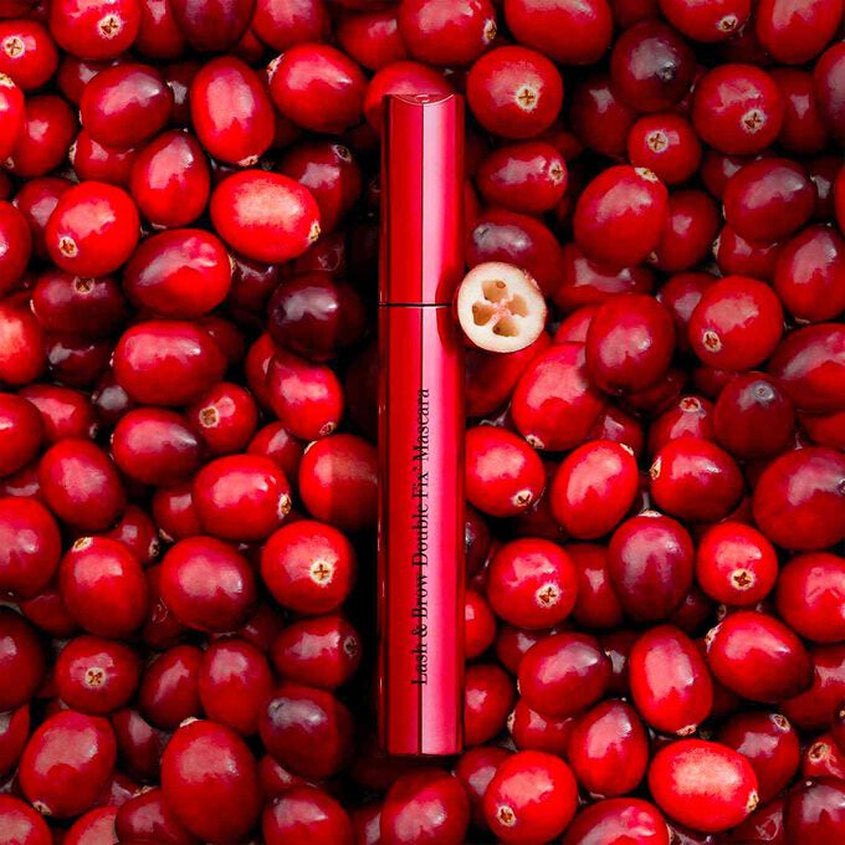Lash & Brow Double Fix' Mascara