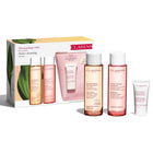 CLARINS PERFECT CLEANSING