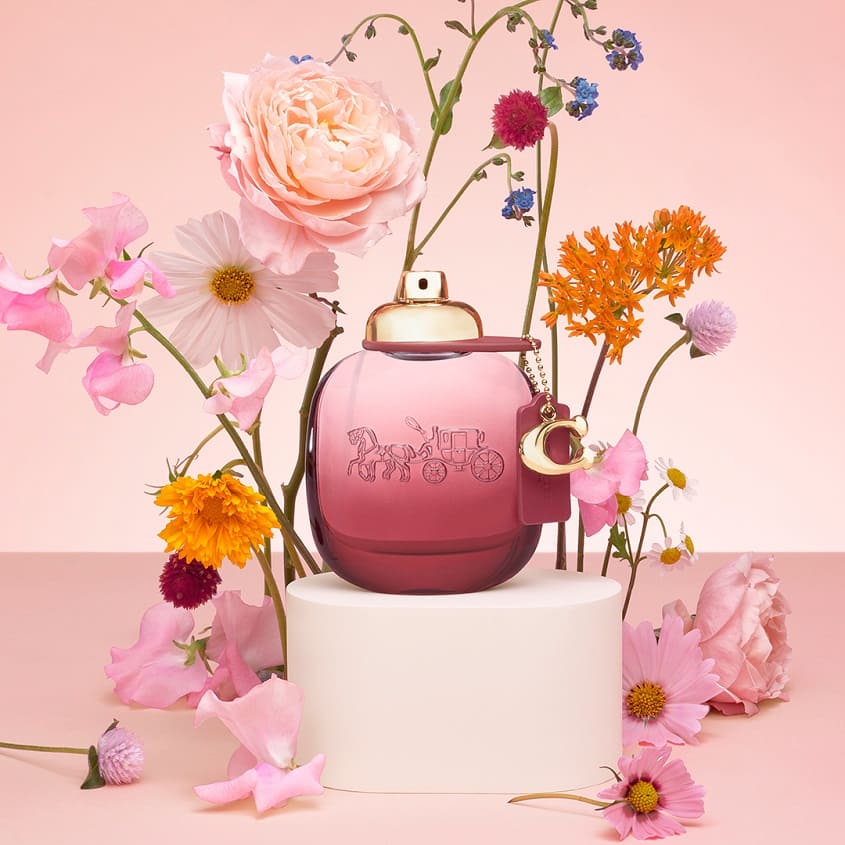 Wild Rose
