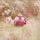 Wild Rose