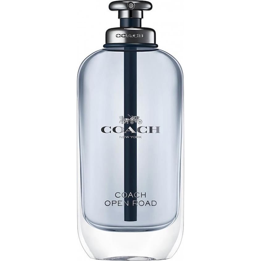 OPEN ROAD EDT NATURAL SPRAY 100 ML