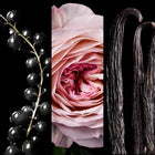 212 Vip Rosé Elixir
