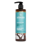 BE CARE LOVE SUPERFOODS MOISTURE THERAPY SHAMPOO 355ML – buy online