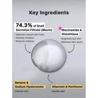Advanced Snail Radiance Dual Essence
