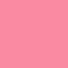 01 Ice rose