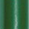 24 Forest Green
