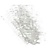 21 Transparent