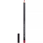N98 FUXIA LIP PENCIL DDP