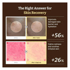ADVANCED PDRN REJUVENATING CREAM RENEWAL, 20 ML