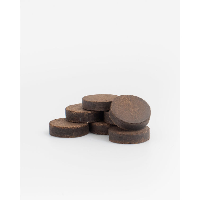 Oud Cells Refill Aquilaria