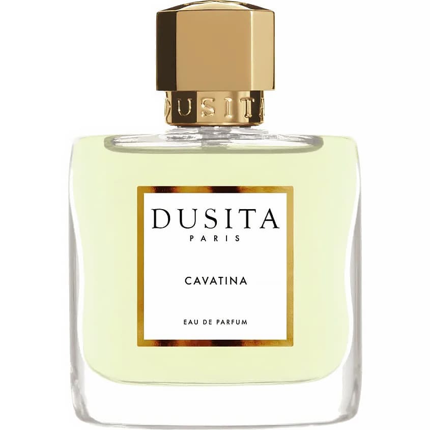CAVATINA EDP 100 ML