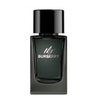 MR. BURBERRY EDP SPRAY 100 ML