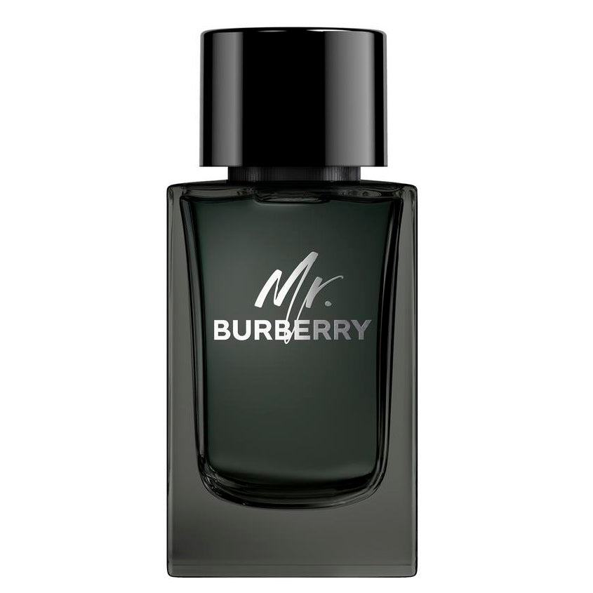 MR. BURBERRY EDP SPRAY 50 ML – free delivery