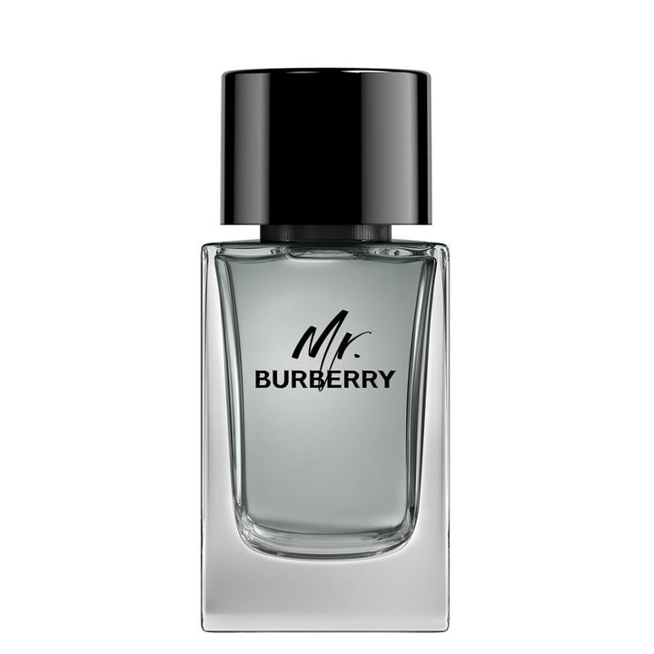 MR. BURBERRY EDT SPRAY 100 ML