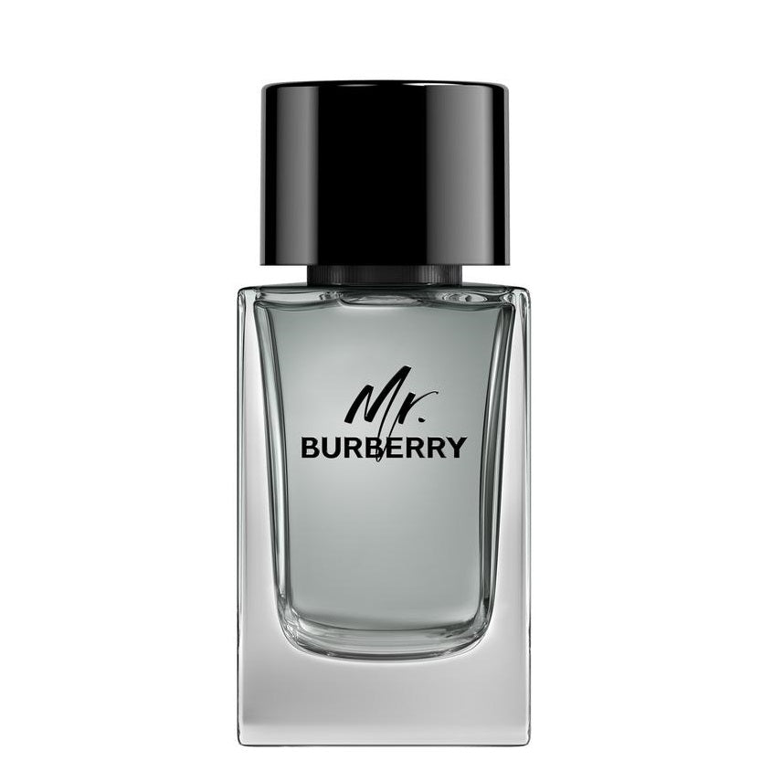 MR. BURBERRY EDT SPRAY 100 ML