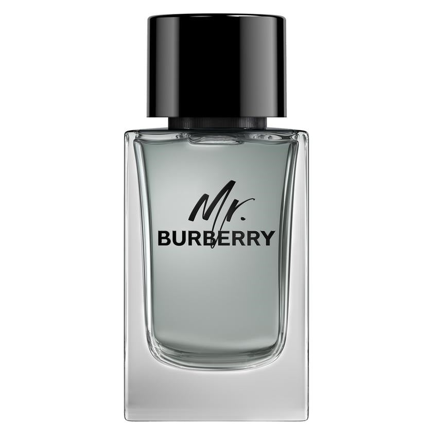 MR. BURBERRY EDT SPRAY 100 ML – online store
