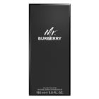 MR. BURBERRY EDT SPRAY 100 ML – free delivery