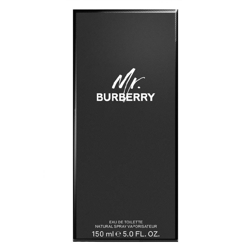 MR. BURBERRY EDT SPRAY 100 ML – free delivery