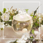 CACHAREL NOA EDT 50ML SPRAY – صورة 5