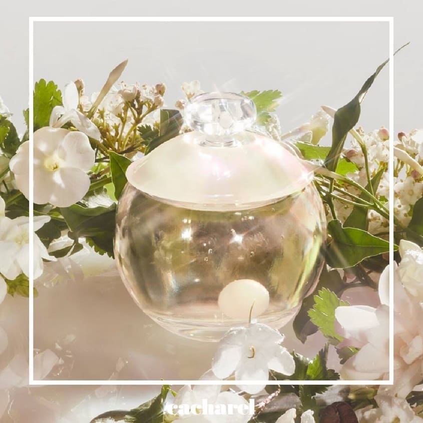 CACHAREL NOA EDT 50ML SPRAY – صورة 5